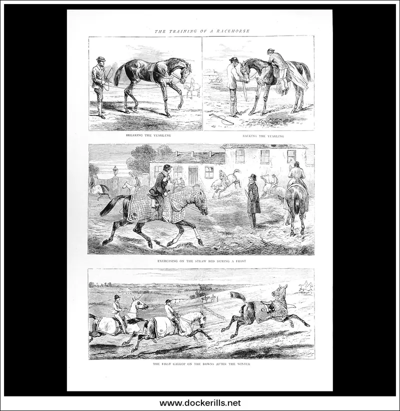 1870 Racehorse Training Illustration – Full-Page Wood Engraving From The Graphic, June Issue 1