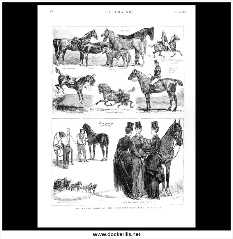 Agricultural Hall Horse Show, Islington, 1876 – The Graphic Social Event Engraving 1