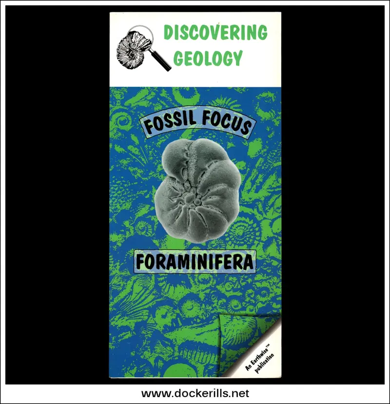 Bgs Earthwise: Fossil Focus – Foraminifera Identification & Geological Significance 1