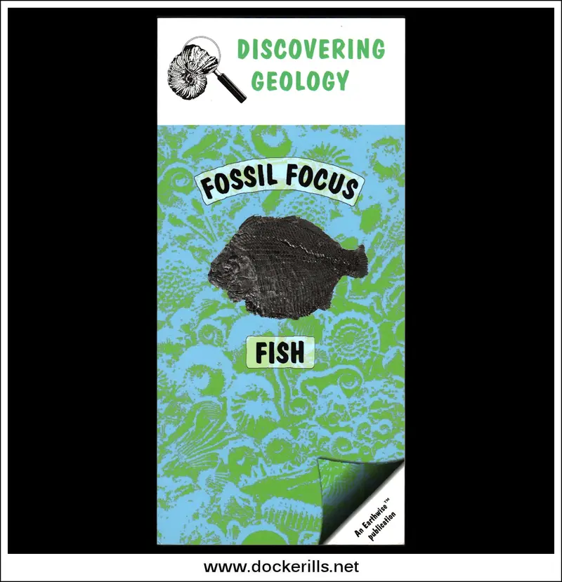 Bgs Earthwise: Fossil Focus – Prehistoric Fish Fossils & Stratigraphic Context 1
