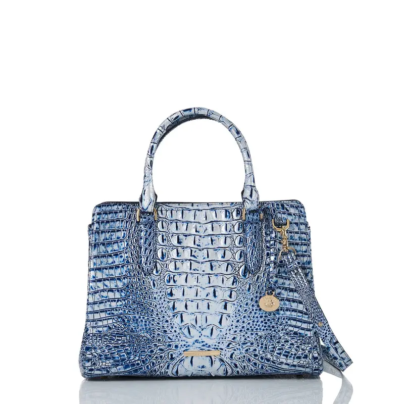Brahmin Melbourne Small Finley Carryall In Premium Leather 1