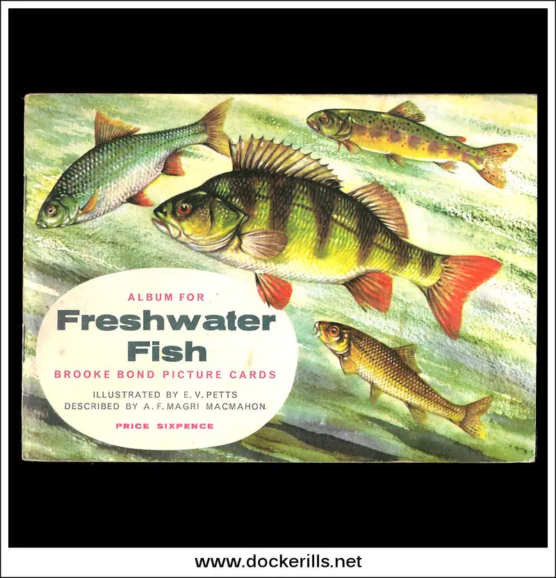 Brooke Bond Tea Card Album: Freshwater Fish (1960) – Complete Vintage Card Series 1