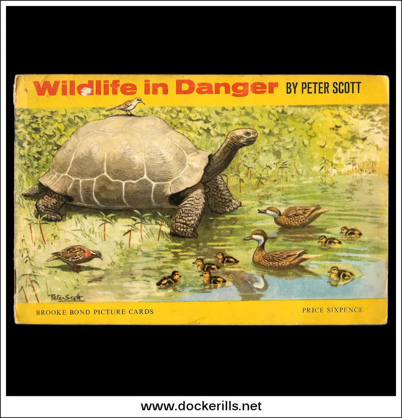 Brooke Bond Wildlife In Danger Tea Card Album – Full 1963 Collection 1