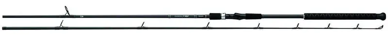 Daiwa Emblem Pro Surf Spinning Rod – High-Power Beach Casting 1