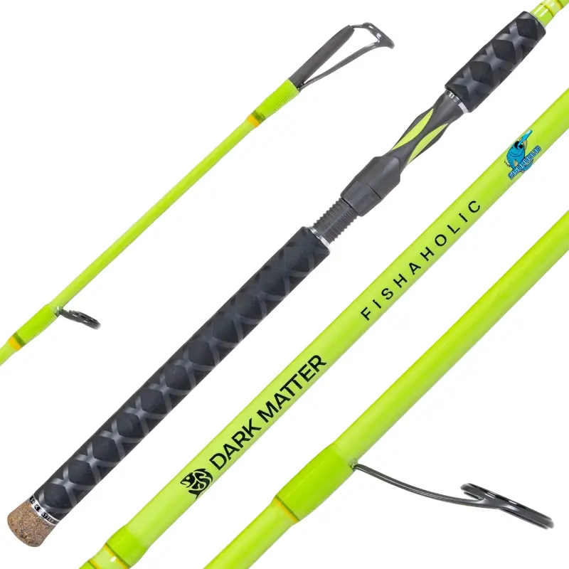 Dark Matter Fishaholic Inshore Light-Spinning Rod 1