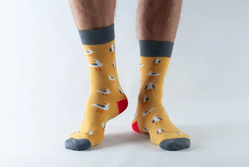 Doris & Dude Men'S Gold Seagull Design Socks 1
