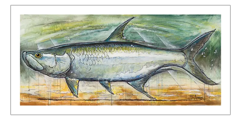 Ed Anderson Patagonia Tarpon Illustration Print 1
