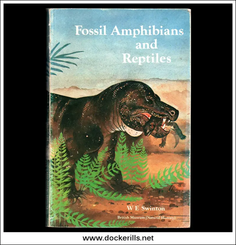 Fossil Amphibians And Reptiles – W.E. Swinton 1