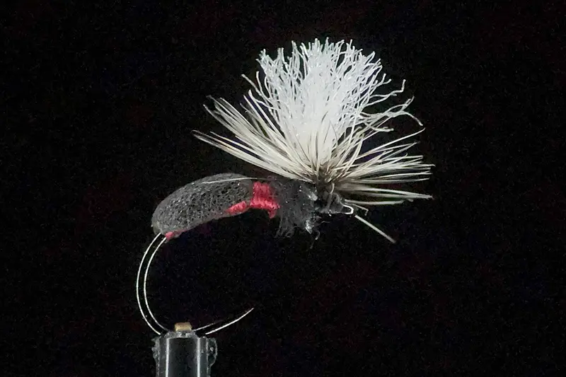 Hovering Ant Dry Flies – 6-Pack Trout Pattern 1