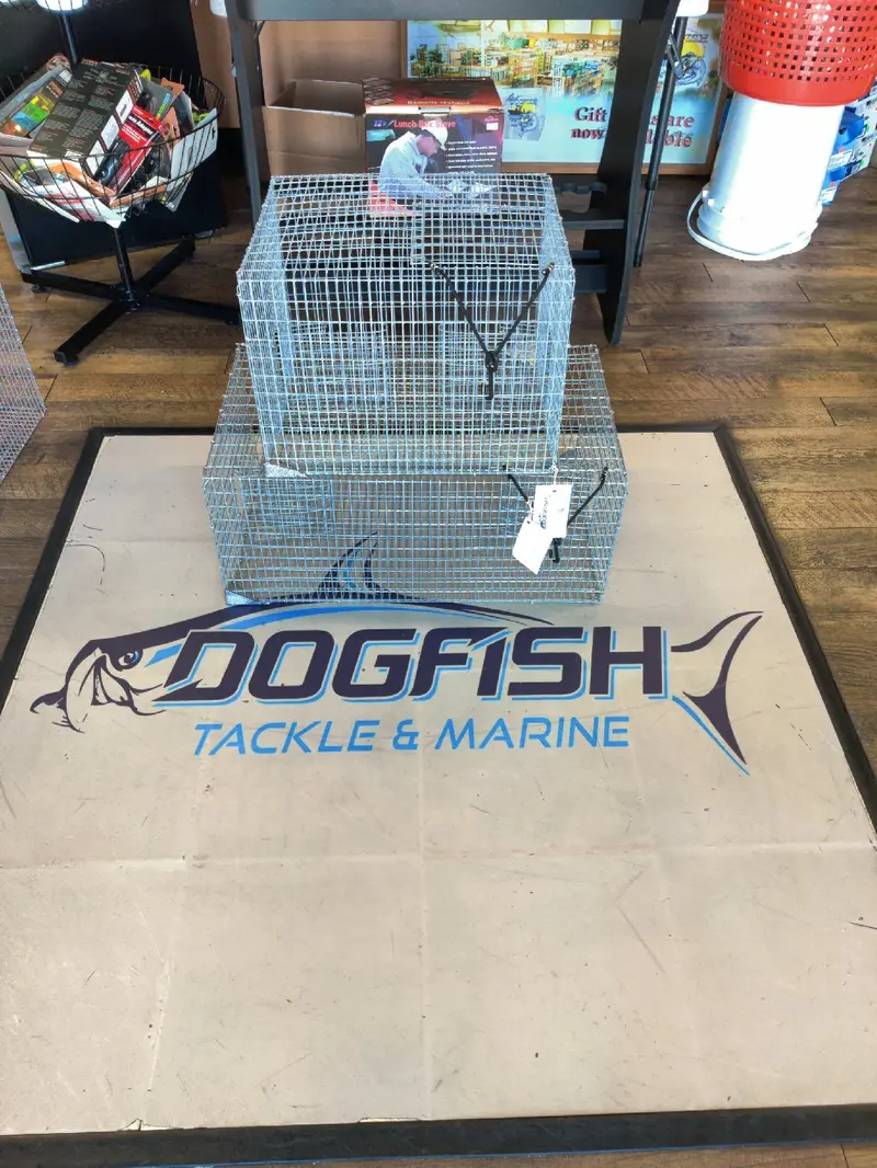 Key West Pinfish Capture Traps (In-Store Pickup Only) 1