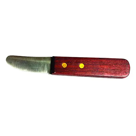 Marine-Grade Shelling Knife With Ergonomic Handle 1
