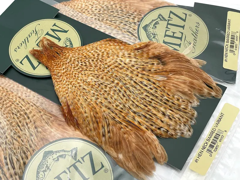Metz Hen Neck Cape – Grade #1 1