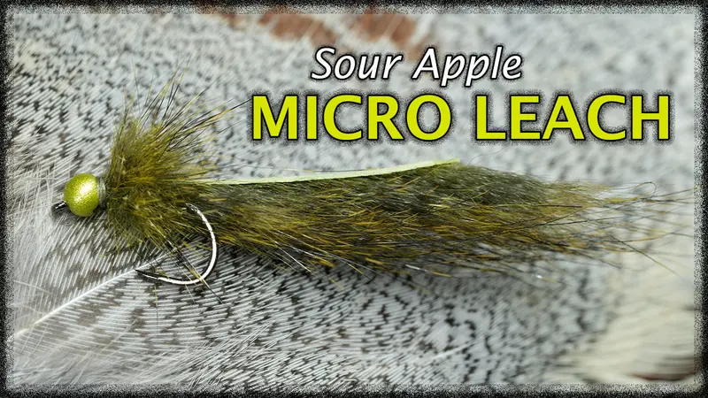 Micro Sour Apple Leech Fly-Tying Kit 1