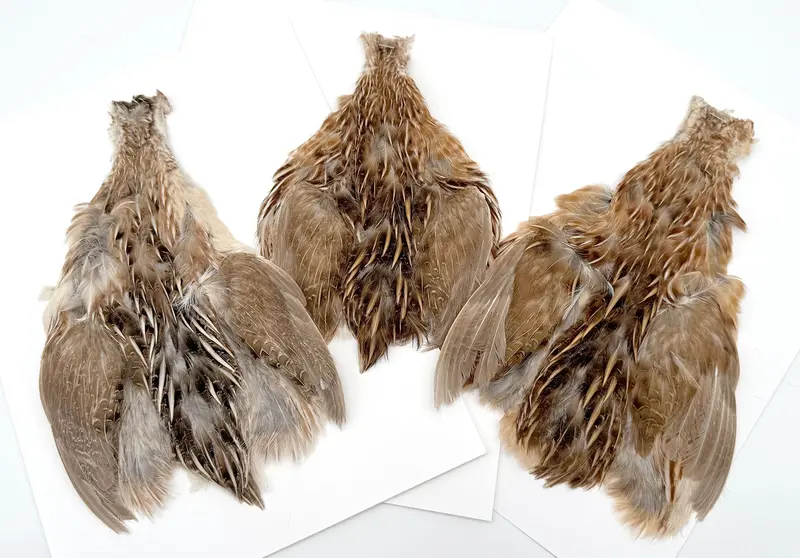 Moonlit Quail Feather Patches – Full-Skin Fly Tying Material 2