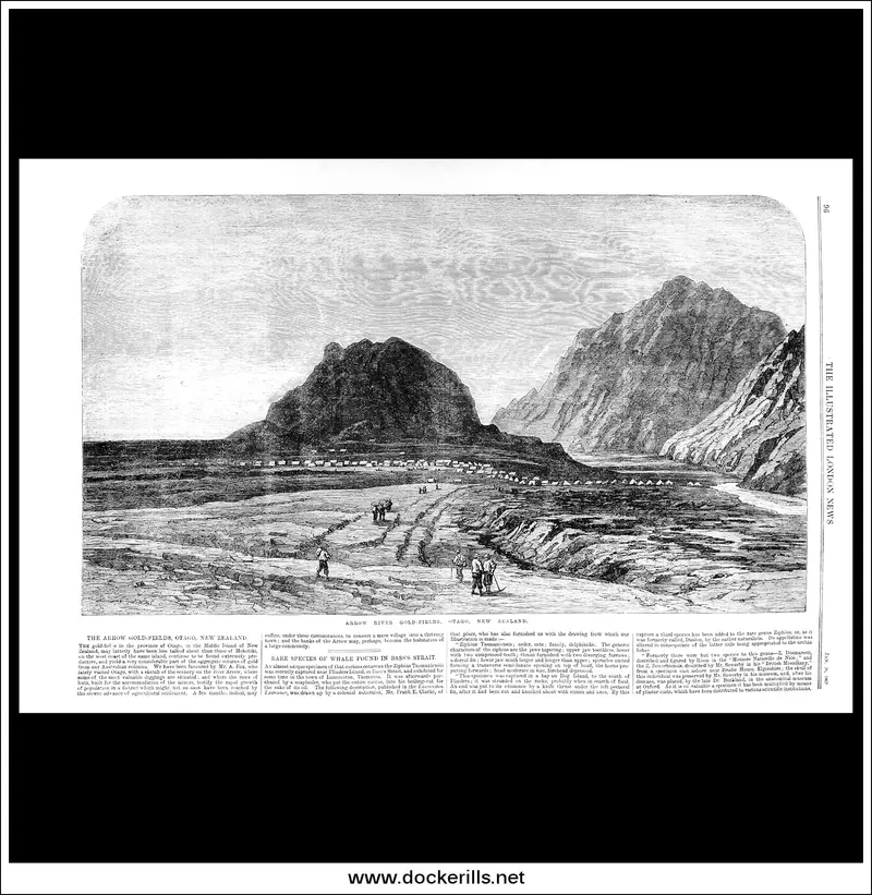 Otago Gold Rush: Arrow River Field – 1867 Illustrated London News Engraving (Jan 26) 1