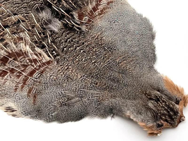 Premium Aa Hungarian Partridge Skin – Perdix Natural Finish 1