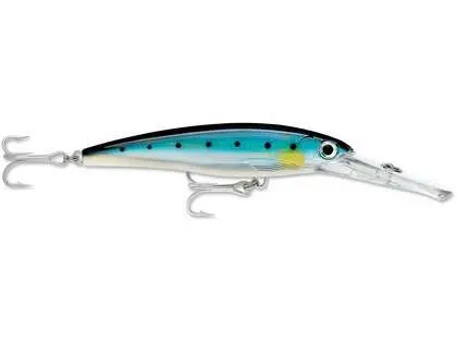 Rapala X-Rap Magnum – Large-Sized Saltwater Swimbait 8