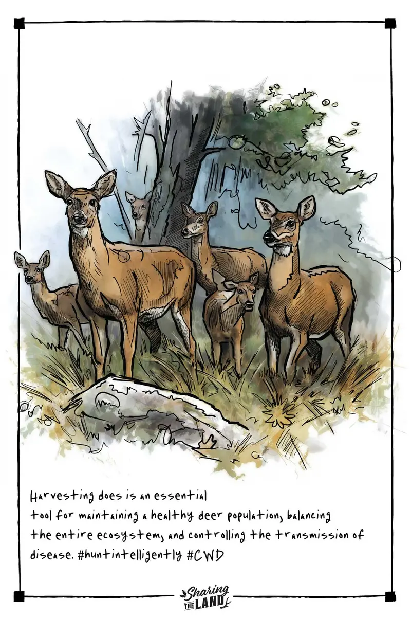 Sharing The Land 'Doe Derby' Poster – 13X19 Archival Print By Ed Anderson 1